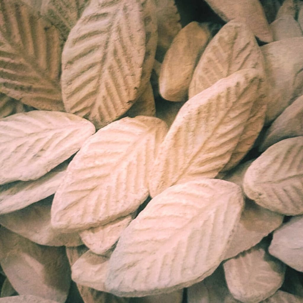 Bay_Leaves-1