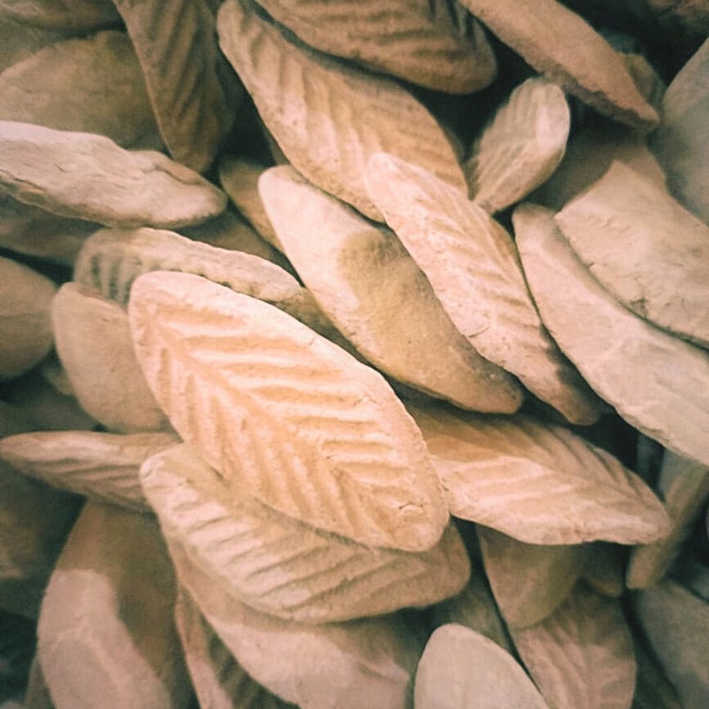 Bay_Leaves-3