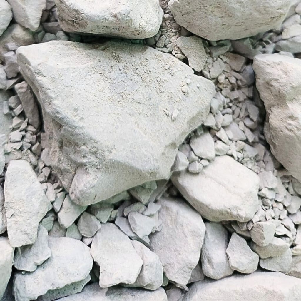 Swan_Clay-3