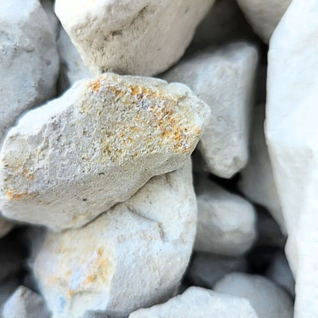 White_Pearl-1
