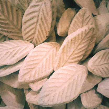 Bay_Leaves-1