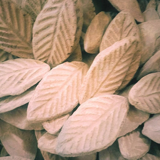 Bay_Leaves-1