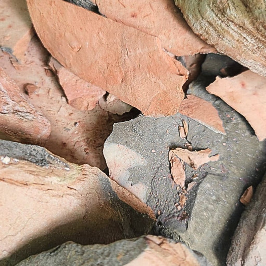Multani_Mitti_Roasted-3