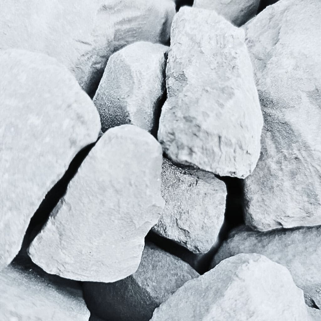 White_Rose-3