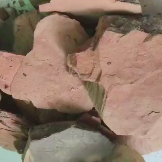 Multani Mitti Roasted