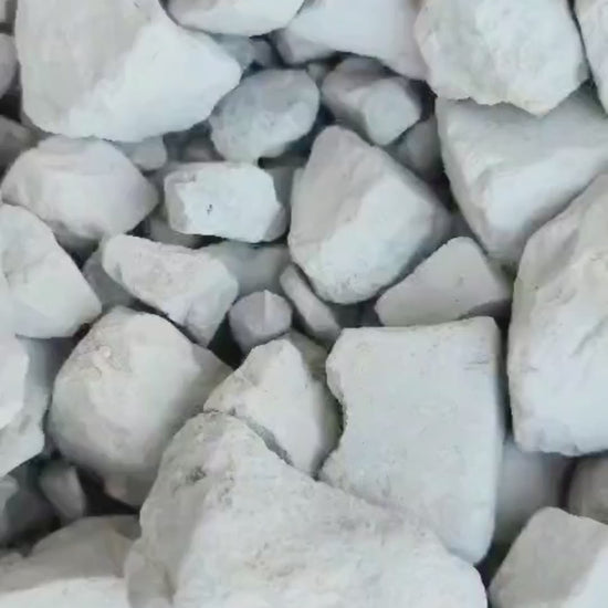 White Pearl (V)