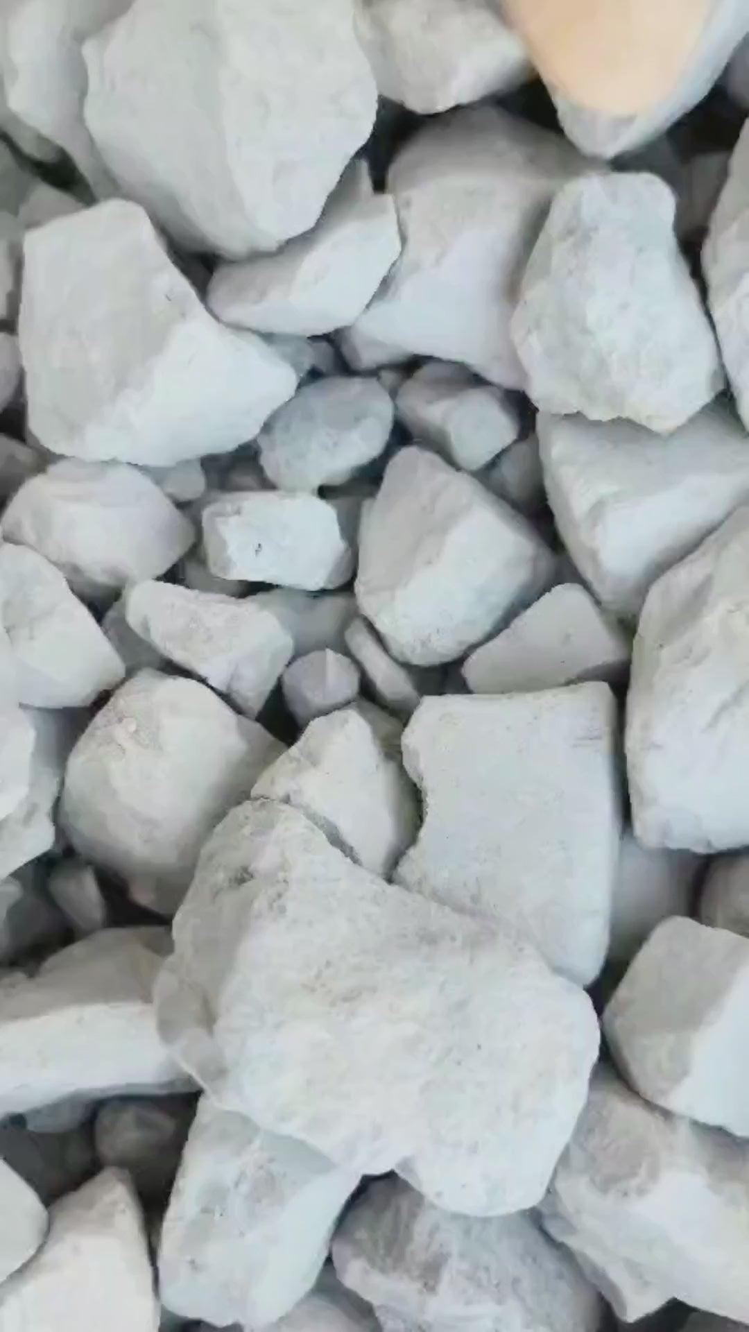 White Pearl (V)