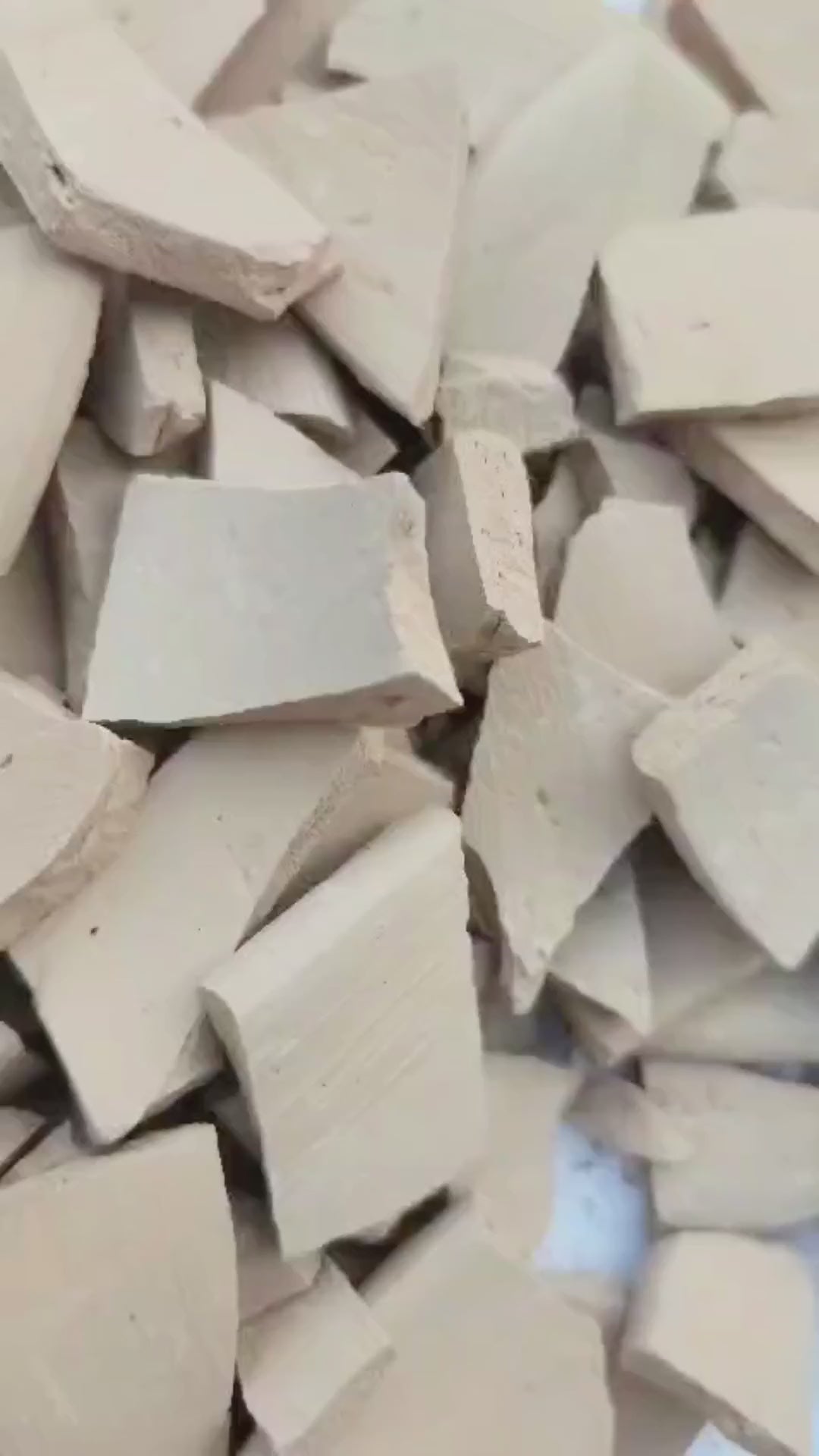 Roasted Chalk Bites (V)