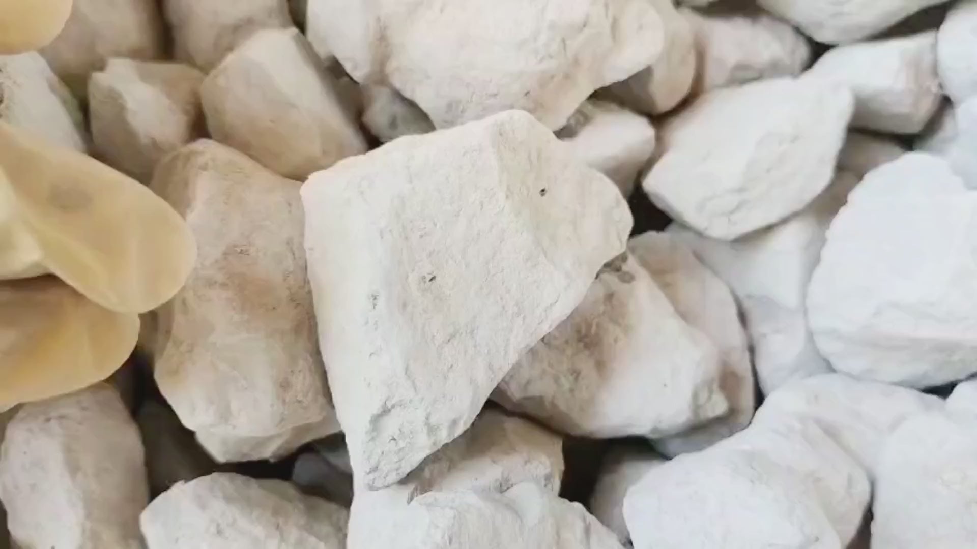 Elephant Clay(v)