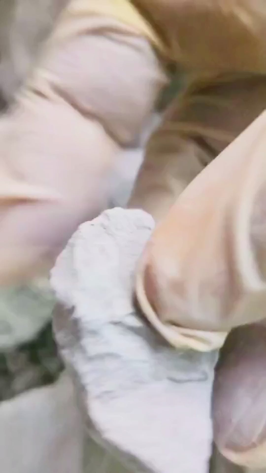 Swan Clay (V)